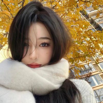 忍者龟：破影而出